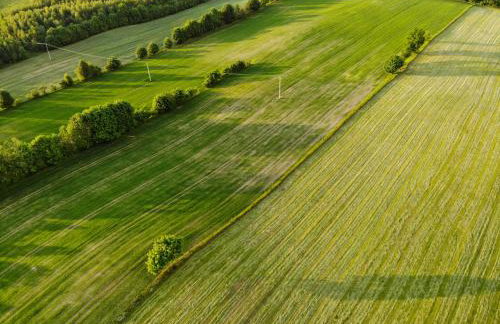 Dylewianka - Foto 48