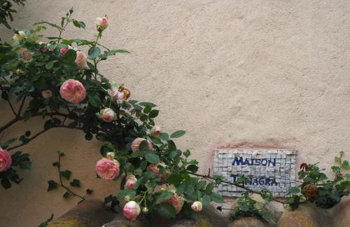 Gîte Tanagra : Maison avec piscine et vue exceptionnelle - Foto 20