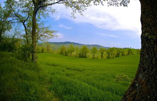 Agriturismo Montelovesco - Foto 160