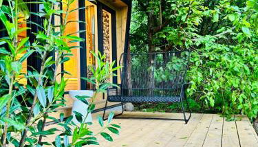 Nasze Calle - Foto 5, Garden