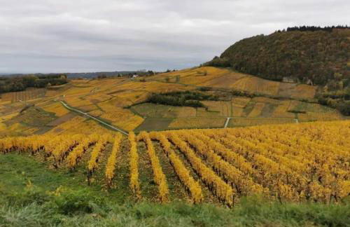 Gite les carriaux - Foto 29