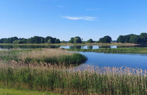 Apartment Studio Brennerei Haselberg by Interhome - Foto 17