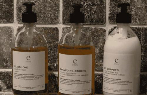 La Chartreuse des Ormeaux maison de maître en Dordogne - Foto 24