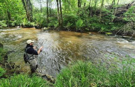 Chalet Cosy 7 pers Nature avec Piscine - Foto 24