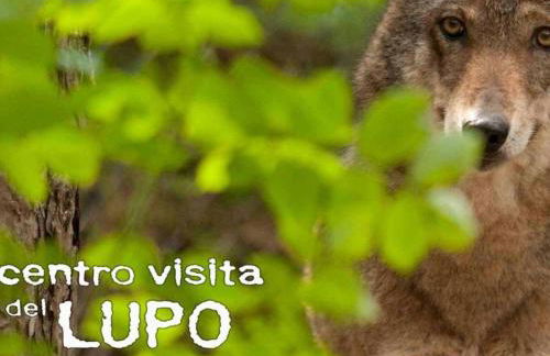 Appartamento inCentro - Foto 29