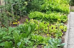 Casa Clima Tandem - Foto 6