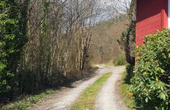 Waldquelle Vital Ferienwohnung - Foto 33