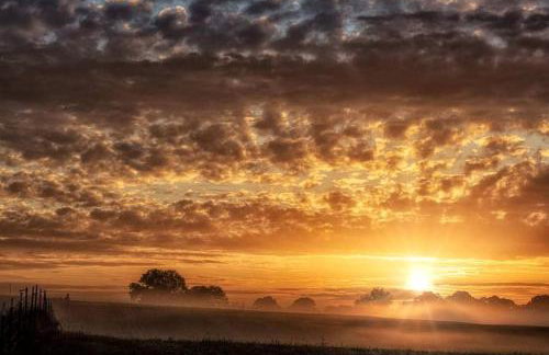 Gorgeous Tiny House with Indoor and Outdoor Lounging Space in Alabama - Foto 53