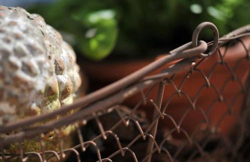 Holiday Home in Ummanz mit Sauna- Garten und Grill by Interhome - Foto 24