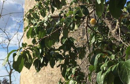 L'insolite et médièvale Tour Yselda - Foto 27