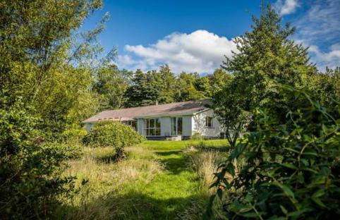 Home Comforts in Peaceful 2 Acres - Photo 59