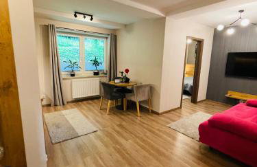 Apartament Góry i Potok - Foto 5