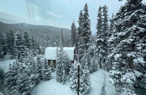 Blue Owl - Tree House Views! Couples Getaway! - Foto 28