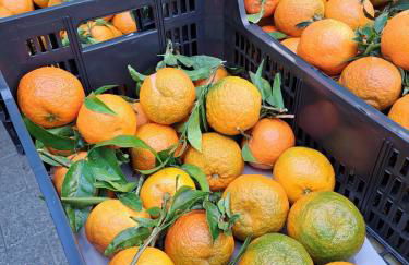 Vakantiehuis Casa de Musica - Foto 56