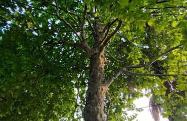 Nikolas home - Foto 15