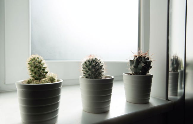 Il Detto Casa Regina-Palmentieri - Foto 48