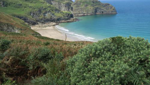 St Edwards Cottage, Tintagel - Foto 4