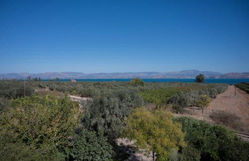 Elysian Garden Villa - Photo 8