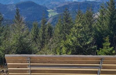 Schwarzwald-Marie in Black Forest - Foto 15