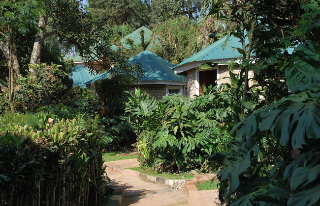 Crater Bay Cottages - Photo 58