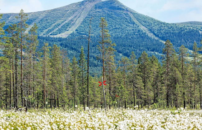 8 Person Holiday Home in Lofsdalen - Foto 29