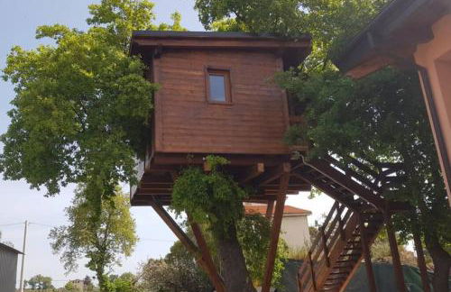 Casa sull'Albero Treehouse Costa dei Trabocchi - Foto 27