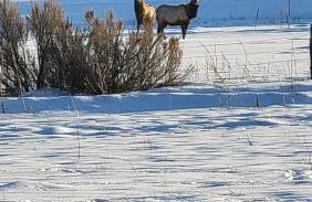 Outlaw Cache - Foto 25