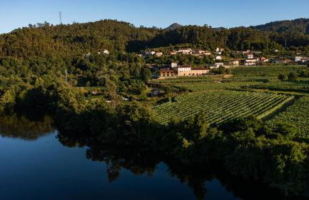 Quinta de Cypriano - Wine & Nature - Foto 22