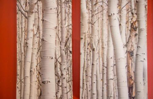 Brettelberg Slopeside Condos C9 - Foto 14