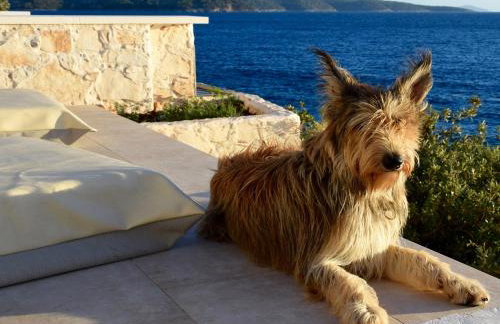 Villa Kamen Green - Photo 32