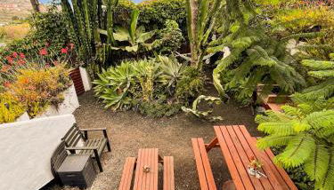 Casa Papaya 2, La Palma - Foto 3, Garden