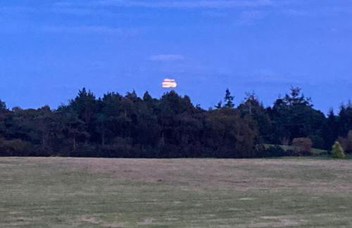 Clashmore Wood - Foto 19