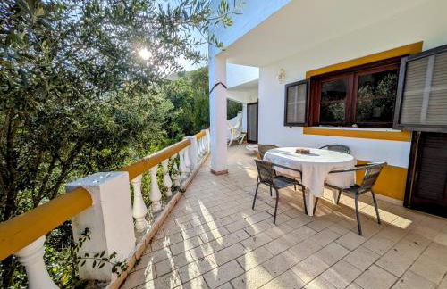 Vale dos Sentidos - Foto 25