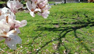 Dinaki apartment - Foto 5