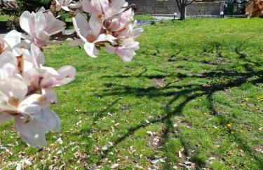 Dinaki apartment - Foto 5