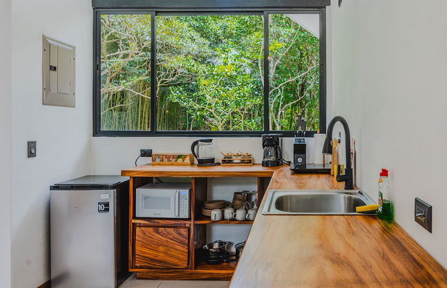 Floresta Monteverde - Foto 11