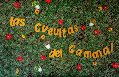 Las Cuevitas del Gamonal - Foto 36