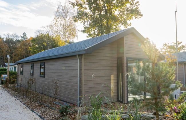 2 bedroom House in Otterlo with swimming pool and terrace - Photo 5