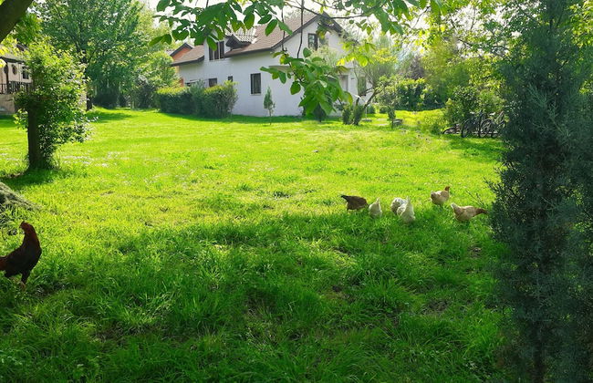 Villa Kirkpinar Sapanca - Foto 79