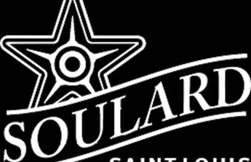 House in Soulard with Parking - Foto 8