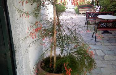 Magdalini Studio - Foto 32