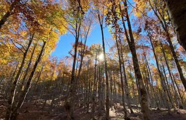 La Casa di Campo Staffi - Foto 24