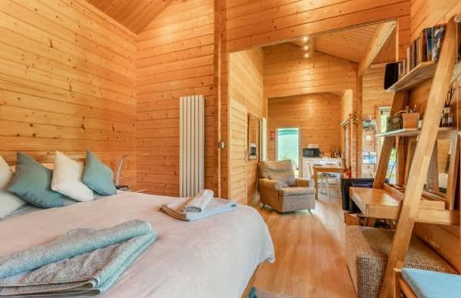 Host Stay Violet Lodge - Photo 11