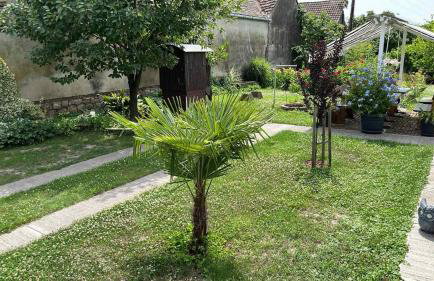 Turul -Kuća za odmor- - Foto 13