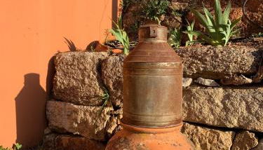 Quinta dos Cedros l Turismo Rural - Foto 3