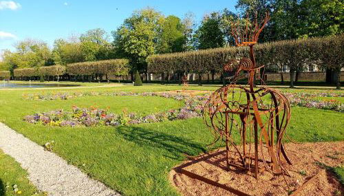 ° Studio 1 - Lunéville centre ° - Photo 3