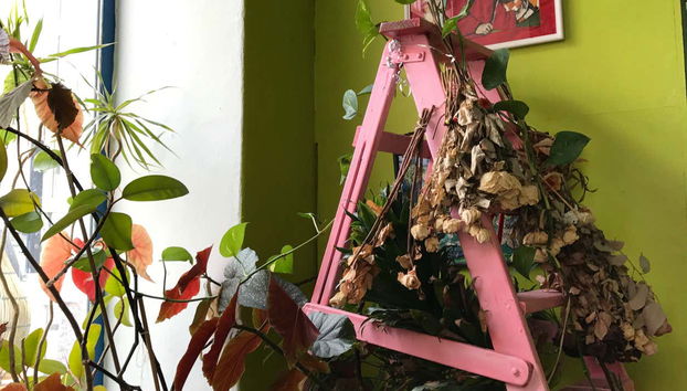 Kallio Neighborhood Tour - Foto 3