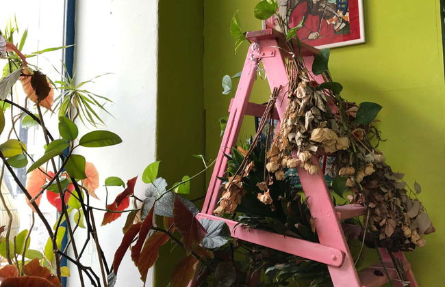 Tour pelo bairro de Kallio - Foto 3