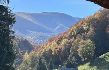 La grange de l'Adour Rimoula - Foto 44