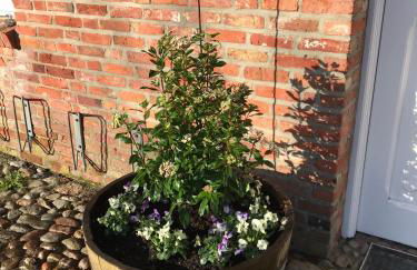 Lieblingsplatz - Foto 17